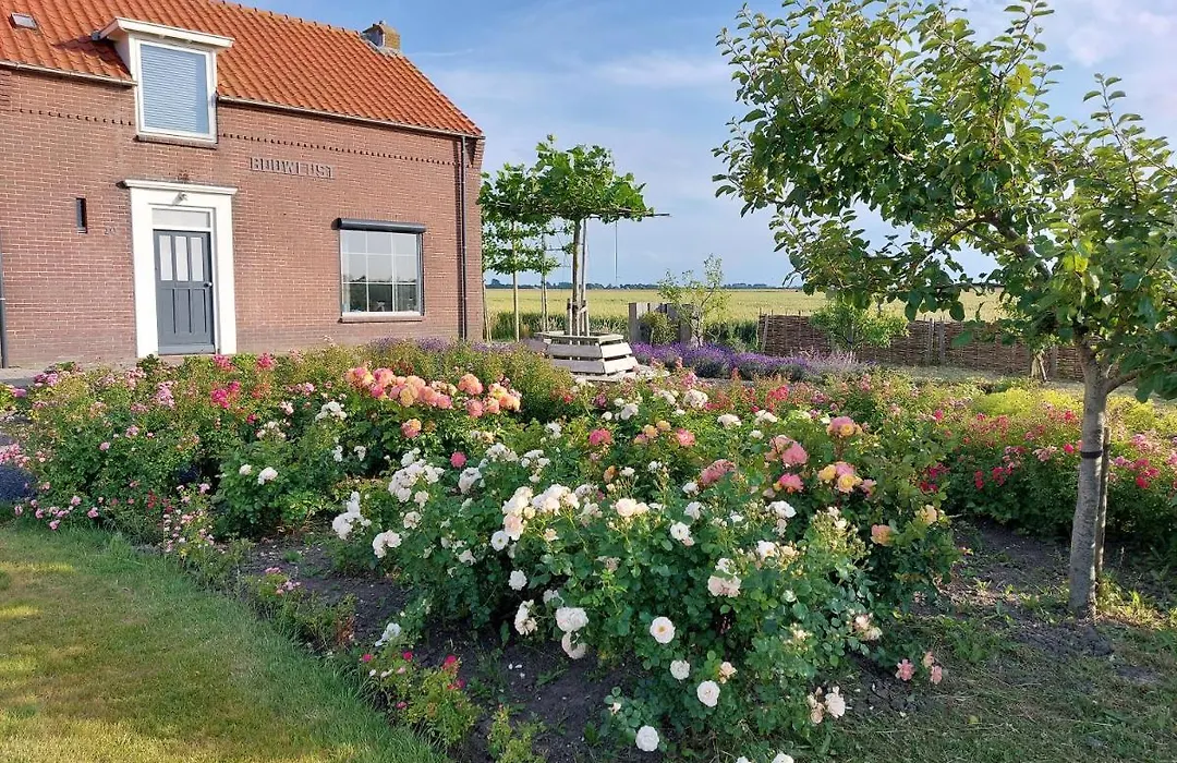 B&B Bouwmanshoeve-1